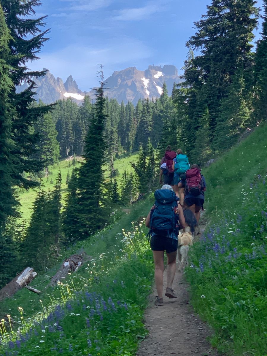 Curved pathway symbolizing repeatable work rituals